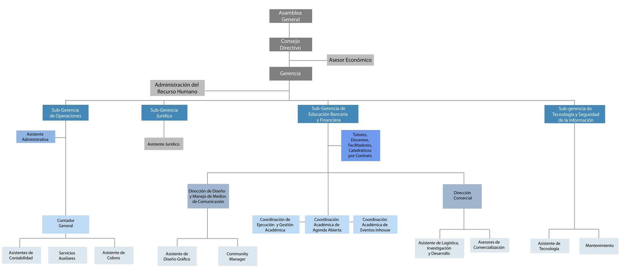 organigrama-2025-final